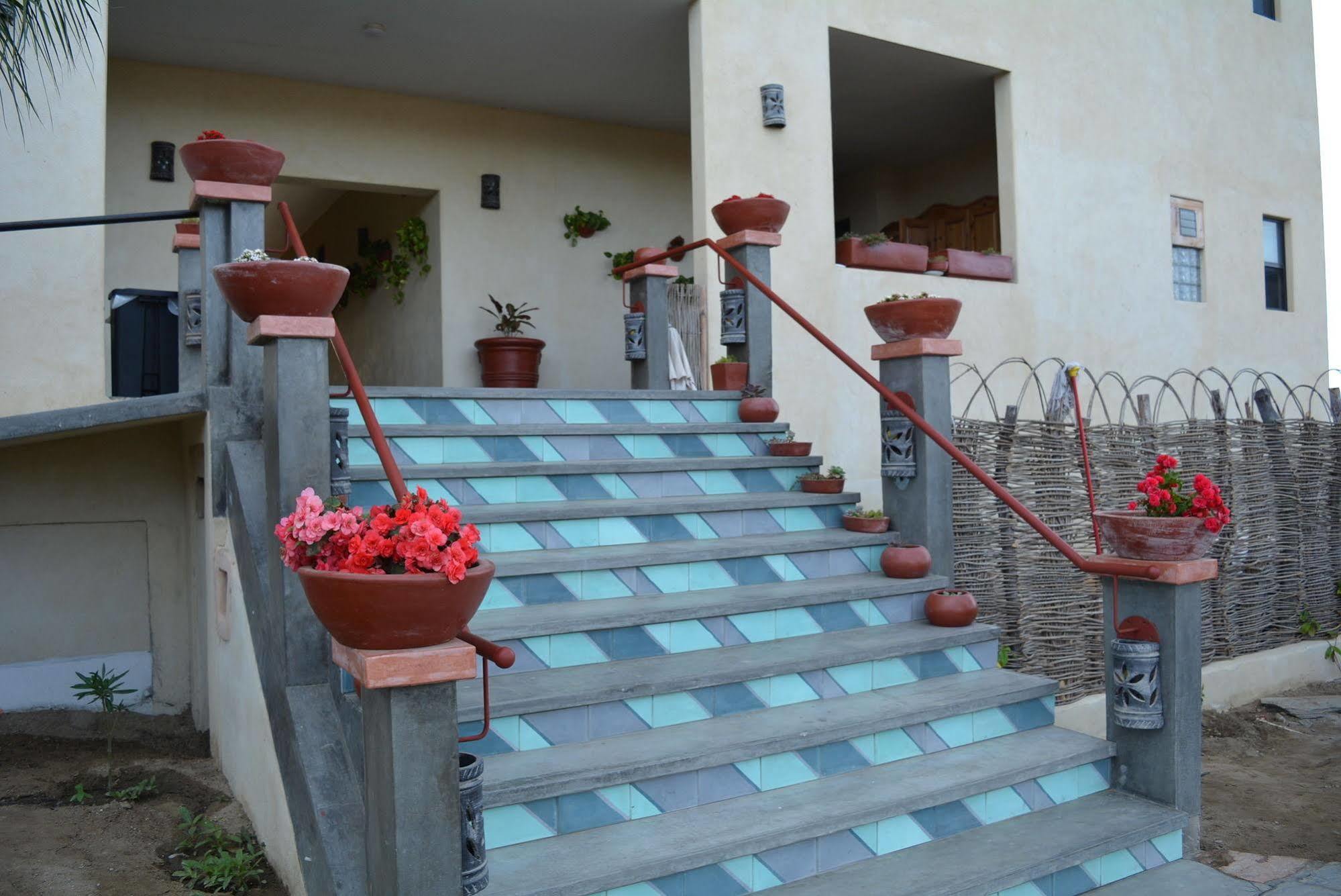 Tortugas Cerritos Beachfront Hotel El Pescadero  Εξωτερικό φωτογραφία